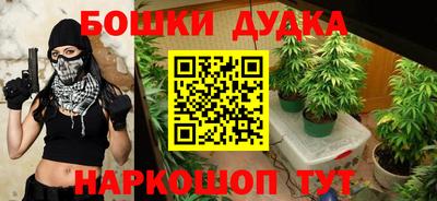 шишки Анапа