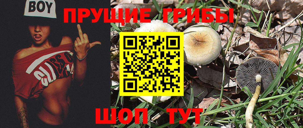 Галлюциногенные грибы мицелий Баксан