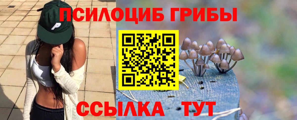 Псилоцибиновые грибы Psilocybine cubensis  Псилоцибиновые грибы ЛСД  Вход с VPN  Баксан 